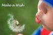 make-a-wish[1].jpg